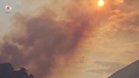 VIDEO Incendii violente în Albania. Hectarele de vegetație s-au făcut scrum